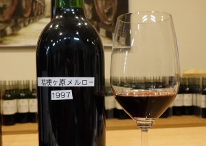 信州桔梗が原メルロー 1997