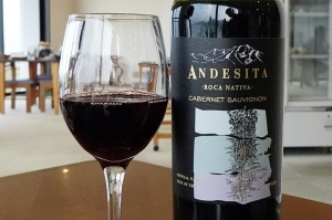 ANDESITA　ROCA NATIVA 2022