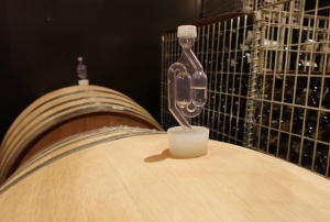 発酵栓