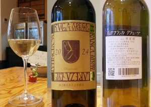 アルガブランカ クラレーザ 2024