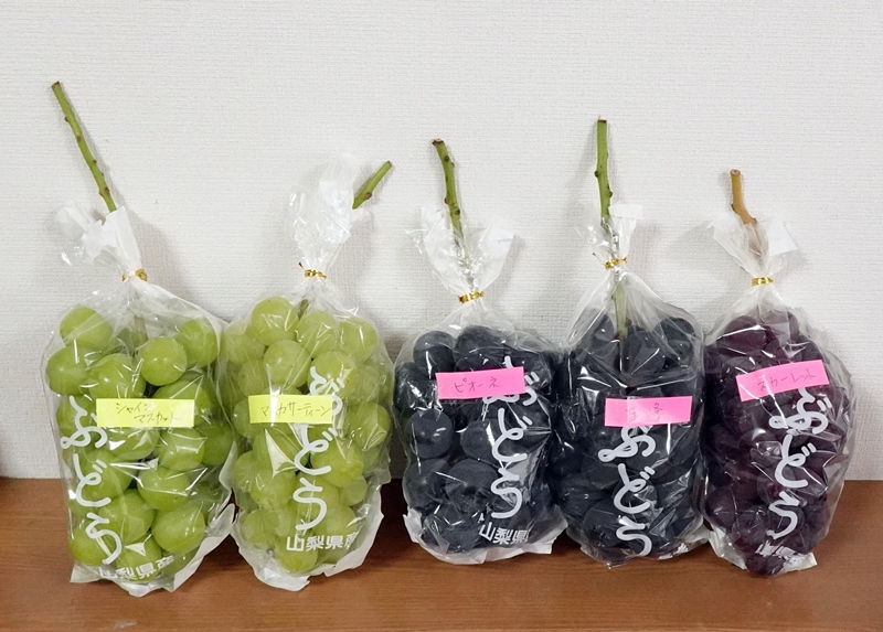 山梨から葡萄五種類到着